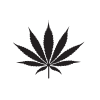 cannabis leaf